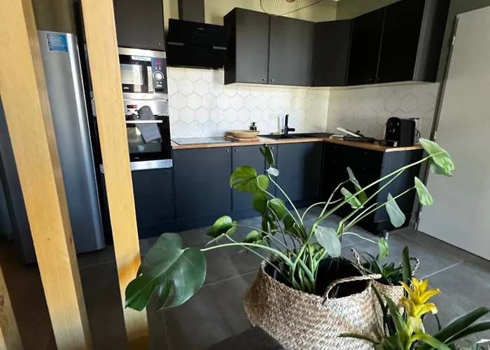 Les Copains D'abord Nîmes