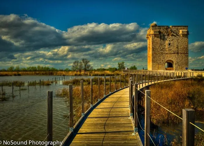 Appartement Les Copains D'abord Nîmes
